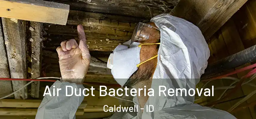  Air Duct Bacteria Removal Caldwell - ID
