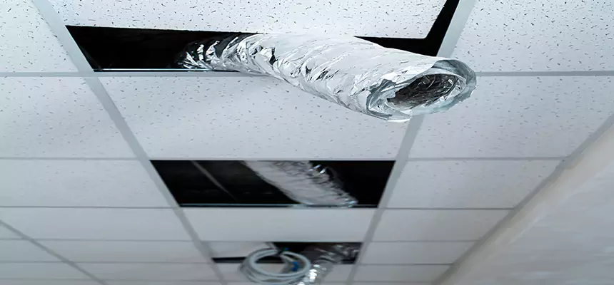 Affordable HVAC Sanitizing After Pest Removal in Caldwell