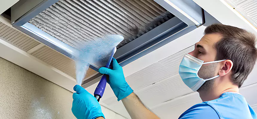 Proactive Dryer Vent & Auxiliary Duct Pollen Cleanup in Caldwell, ID