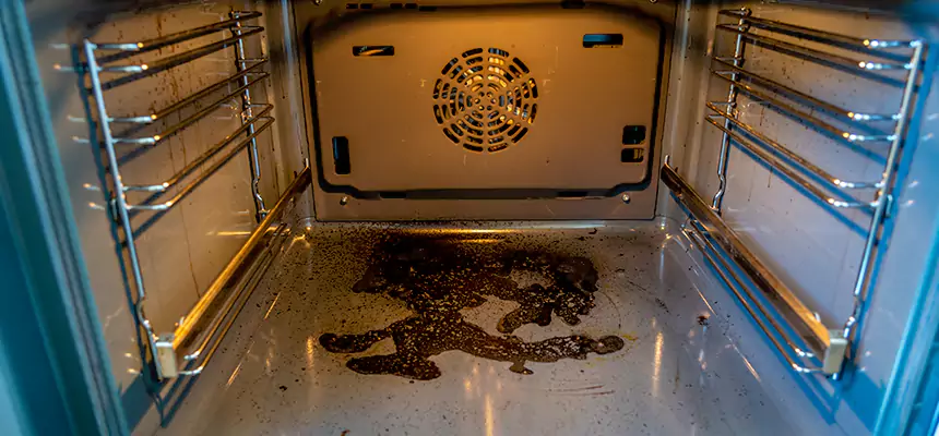 Our Dryer Vent Mold Cleaning Services in Caldwell, ID