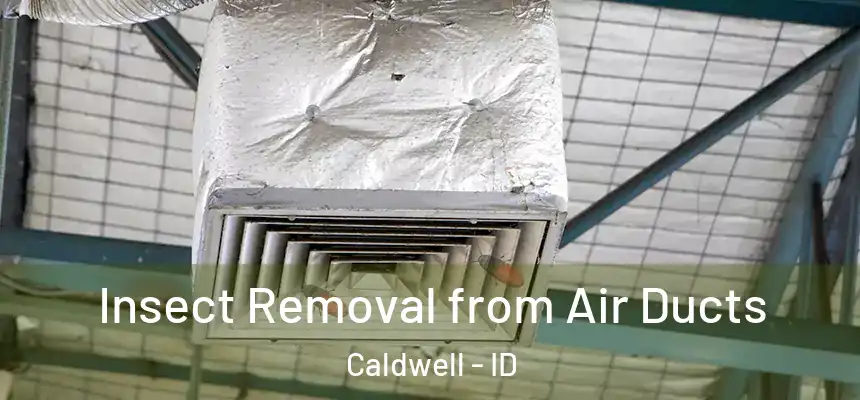  Insect Removal from Air Ducts Caldwell - ID