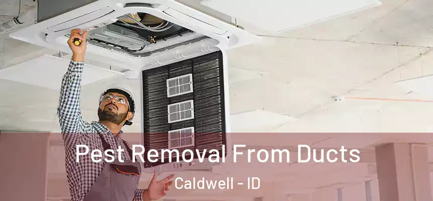  Pest Removal From Ducts Caldwell - ID