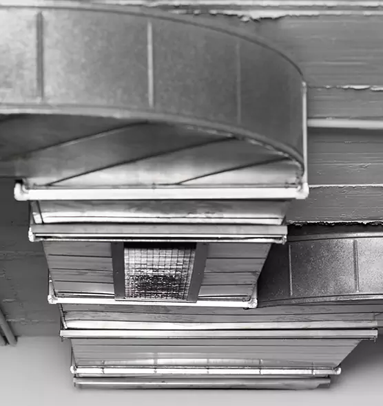 Professional Air Duct Pest Removal in Caldwell, ID