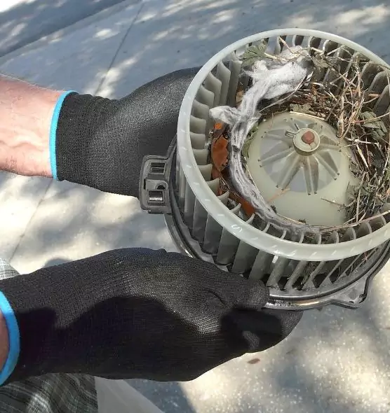 About Air Duct Rat Removal in Caldwell, ID