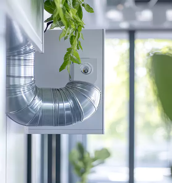 Professional Eco-Safe Dryer Vent Cleaning in Caldwell, ID