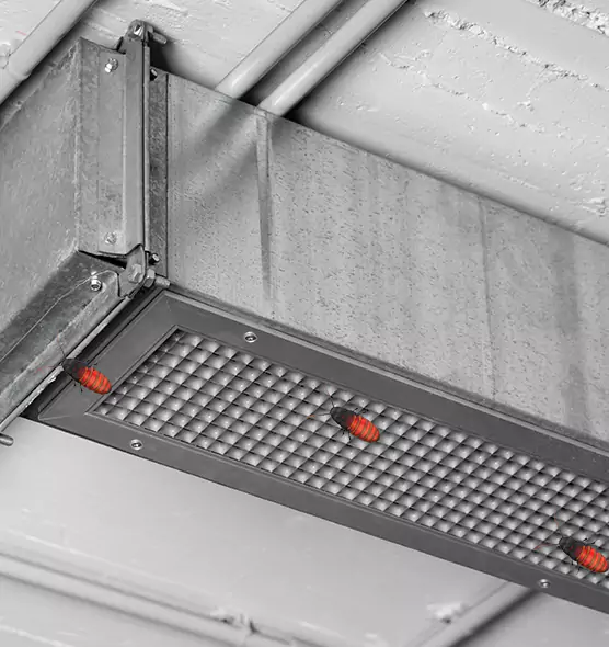 Affordable Insect Removal from Air Ducts in Caldwell, ID
