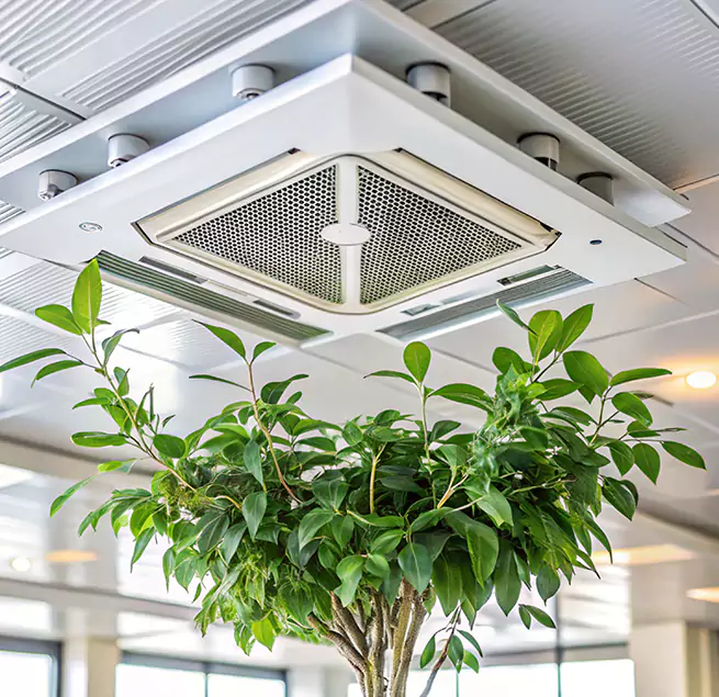 Why Homeowners & Businesses Trust Us in Caldwell, ID